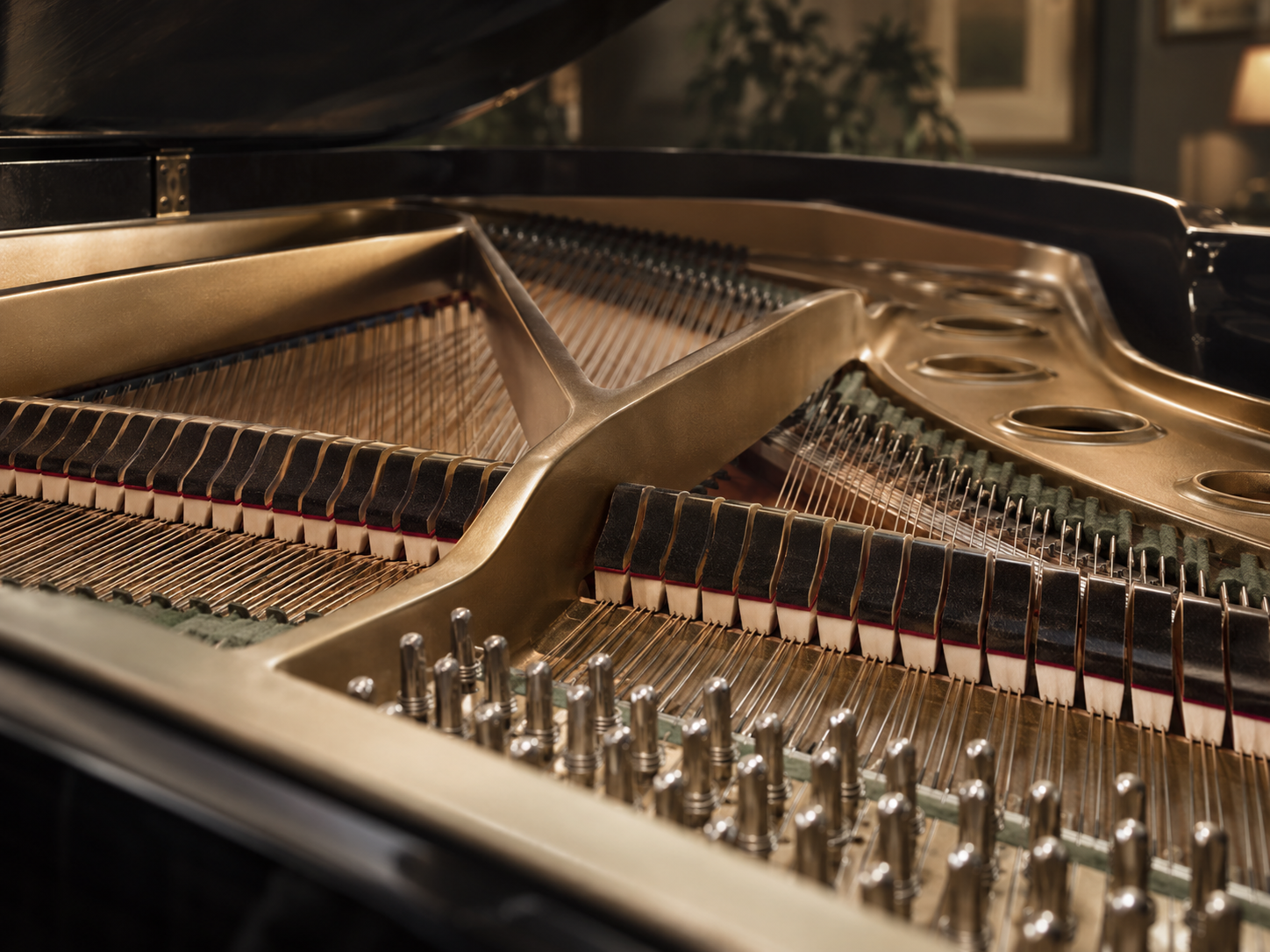 internal Grand Piano structure representing piano quality and condition