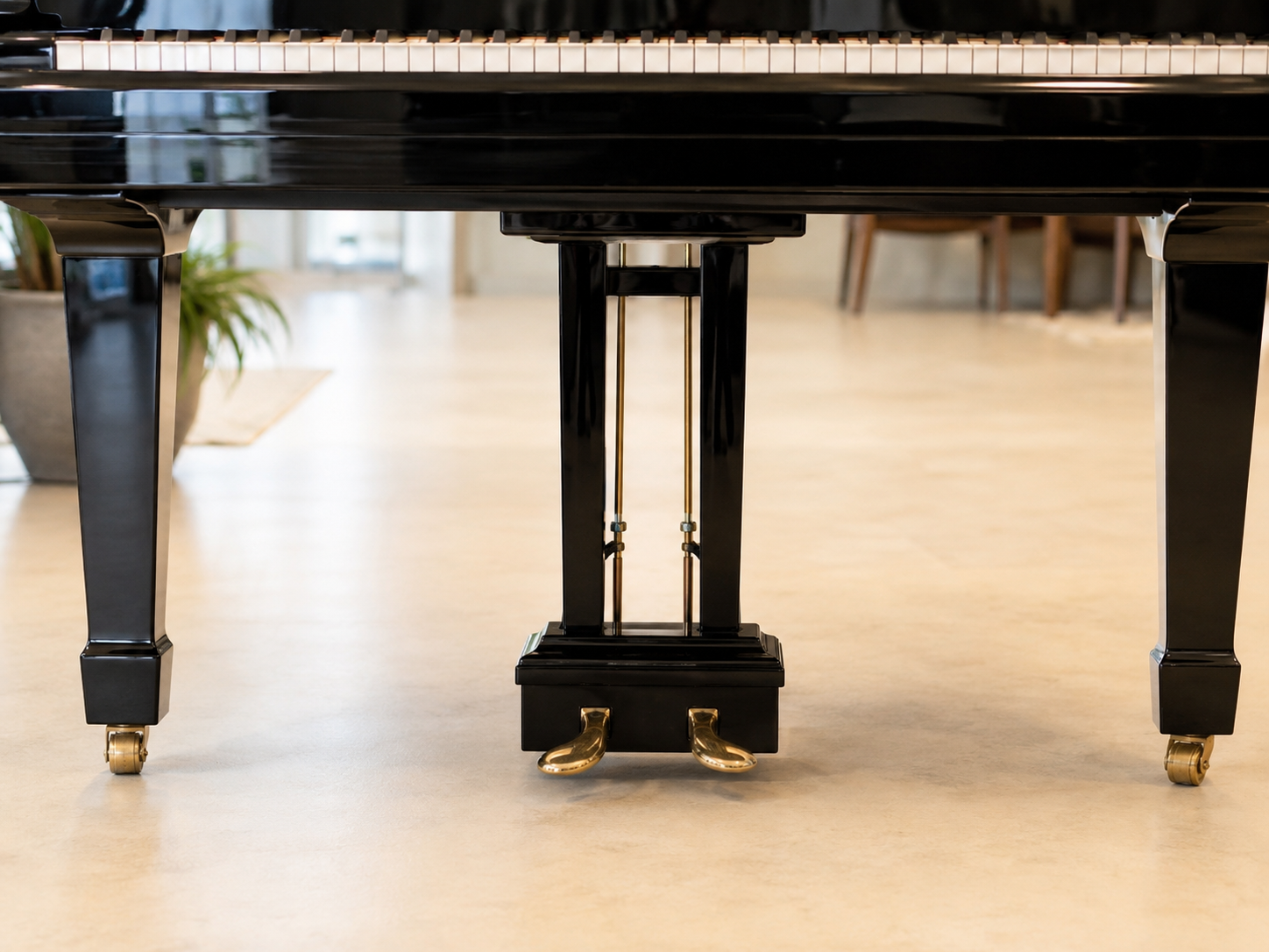 Two-pedal grand piano showing the number and position of its pedals